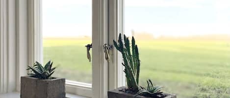 Two potted plants on a windowsill with a view of a grassy field.