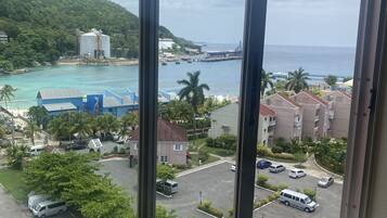 Classic Apartment | 1 bedroom, iron/ironing board, free WiFi, bed sheets