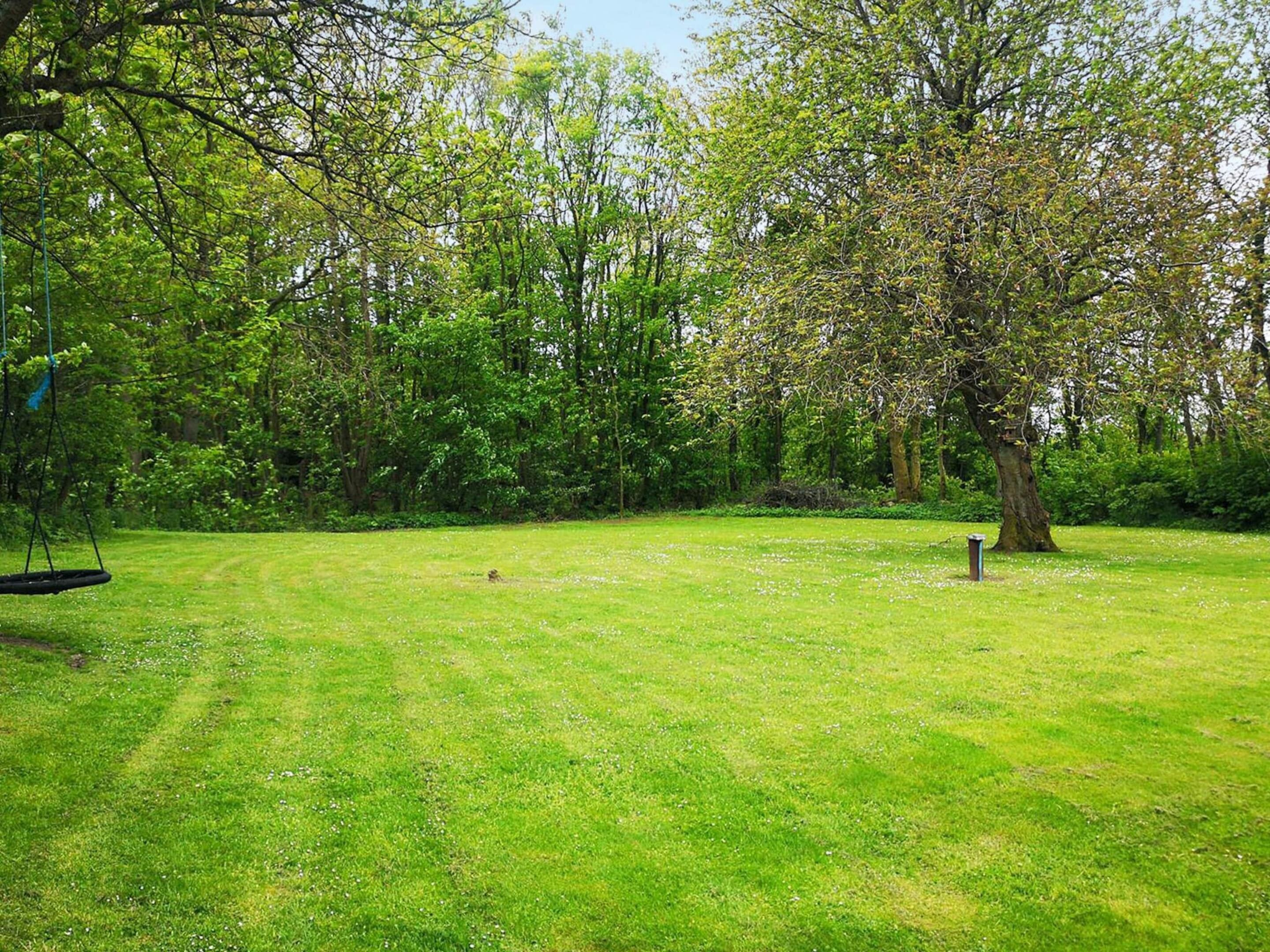 A grassy park area with trees and a swing set.