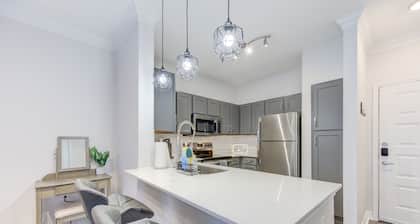 Apartment • Houston Medical District