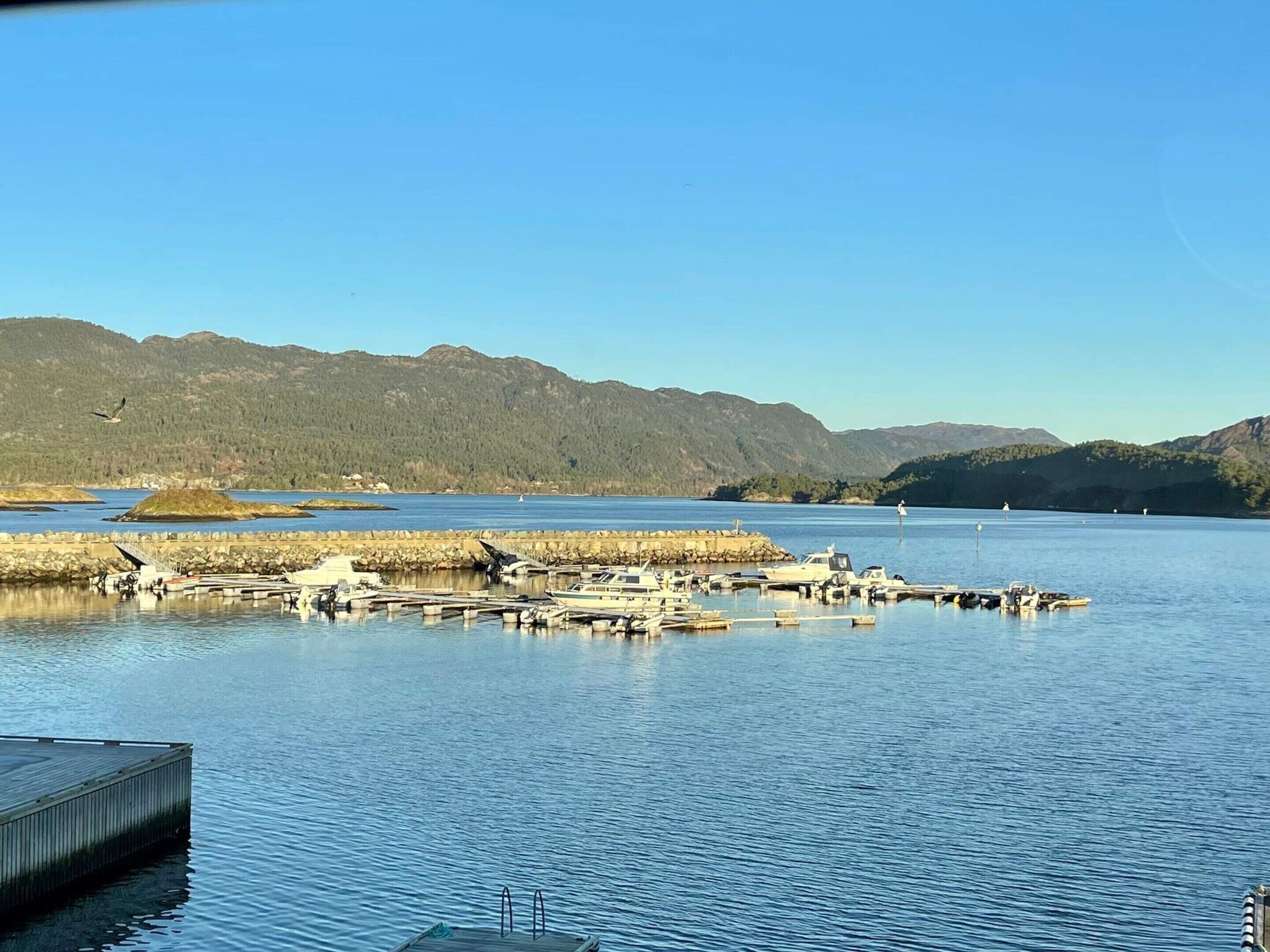 A marina with boats docked, calm water, and a forested mountain backdrop.