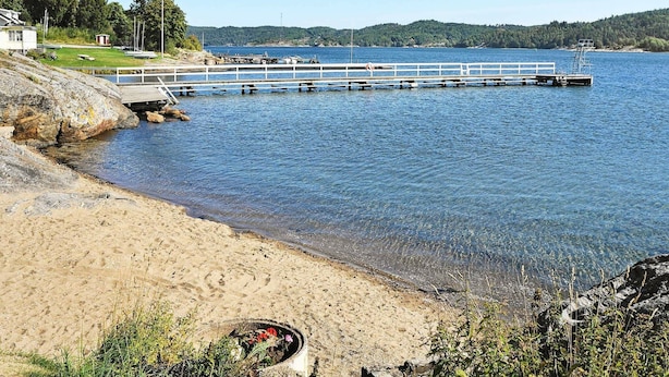 Ein Strand mit einem Steg, der sich über ruhiges Wasser erstreckt, umgeben von viel Grün und blauem Himmel.