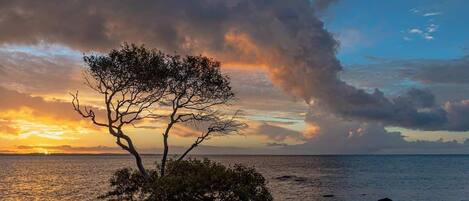 Playa en los alrededores
