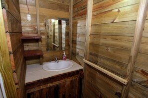 Combined shower/bathtub, towels