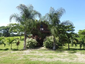 Surrounded by lush greenery, this charming house boasts a thatched roof and a serene garden setting.