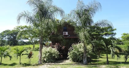 Pilgrim's Paradise Cabin 2