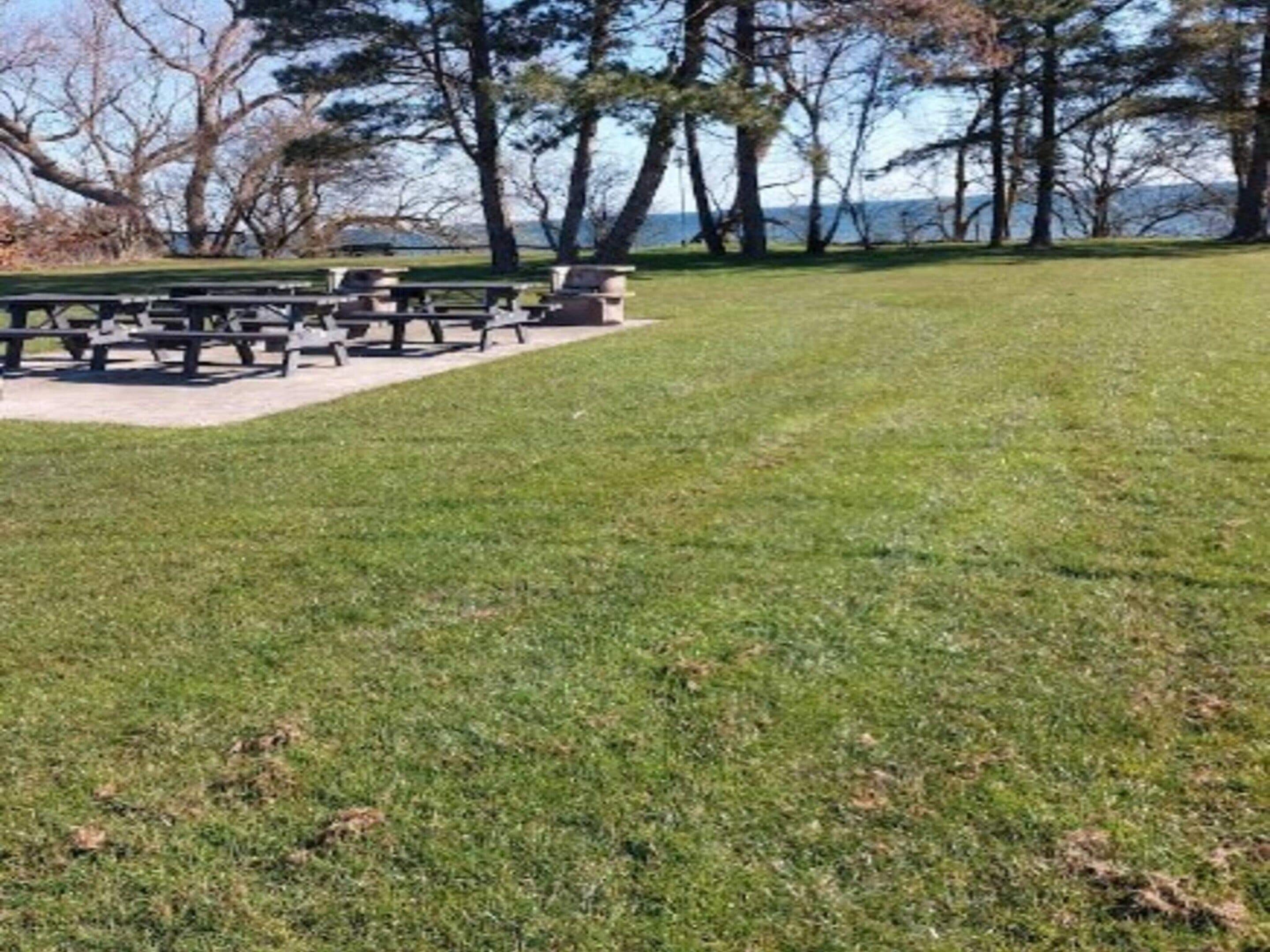 A grassy park area with picnic tables and benches.