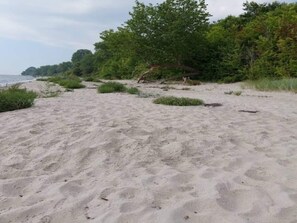Una playa arenosa con huellas y vegetación dispersa.