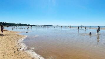 A beach with people in the water and on the sand.