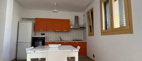 Fridge, stovetop, cookware/dishes/utensils