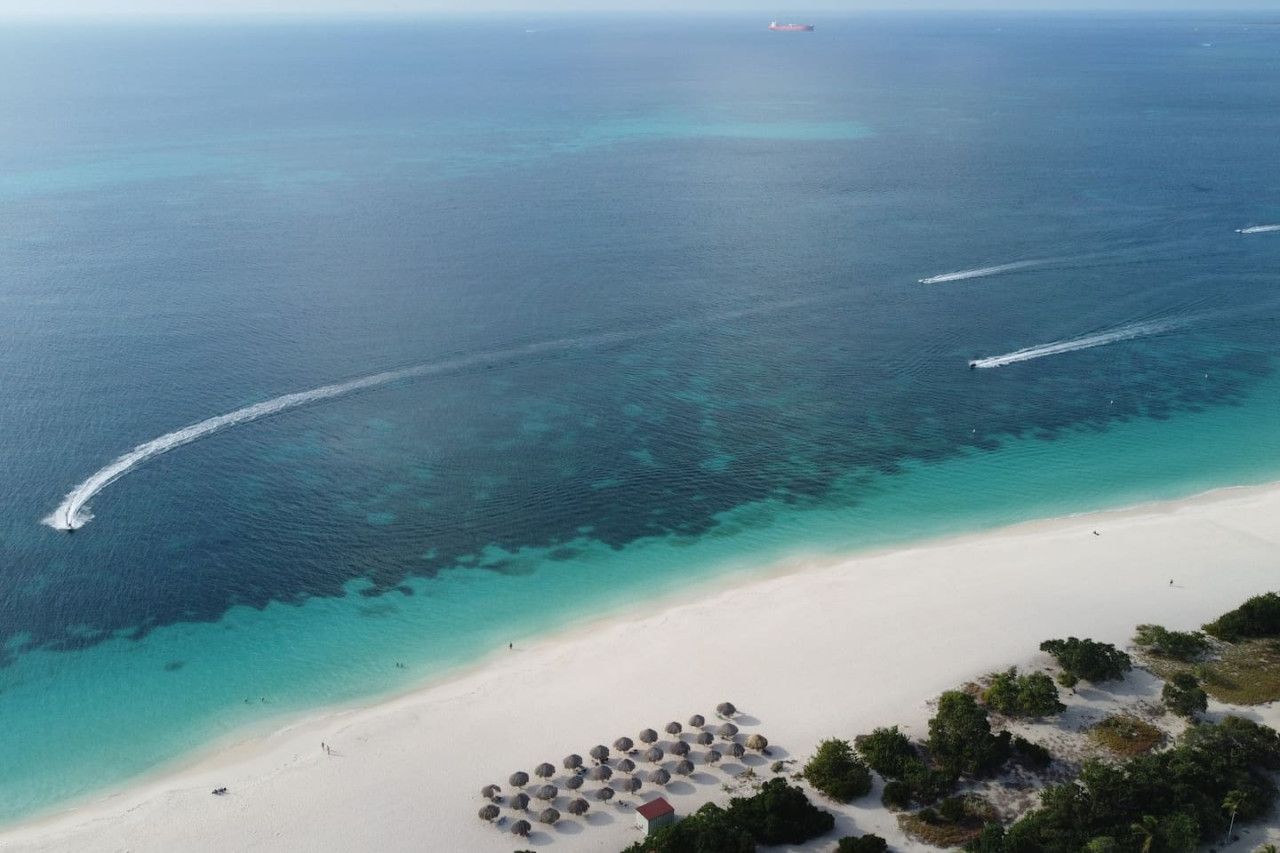An aerial view of a beach with clear turquoise waters, a sandy shore, and a row of thatched umbrellas.