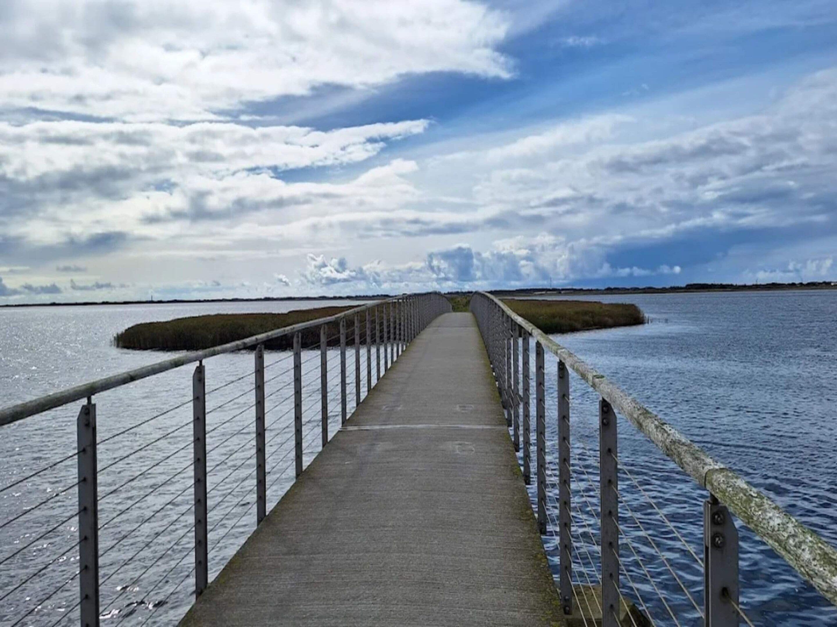 A concrete walkway leading to a body of water with a metal railing on both sides.