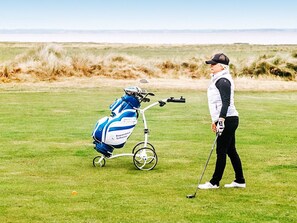 A golf course with a golf bag and a golf club.