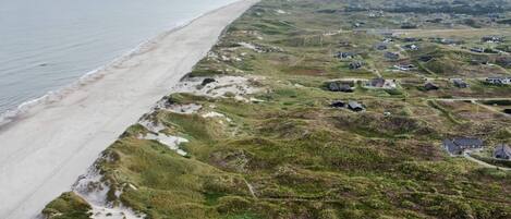 Un paisaje costero con una playa y casas dispersas.