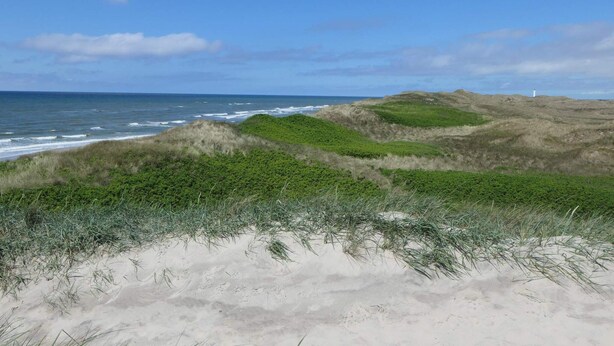 A coastal landscape with dunes and a lighthouse in the distance. - 7 Person Holiday Home in Hvide Sande-by Traum (Hvide Sande)