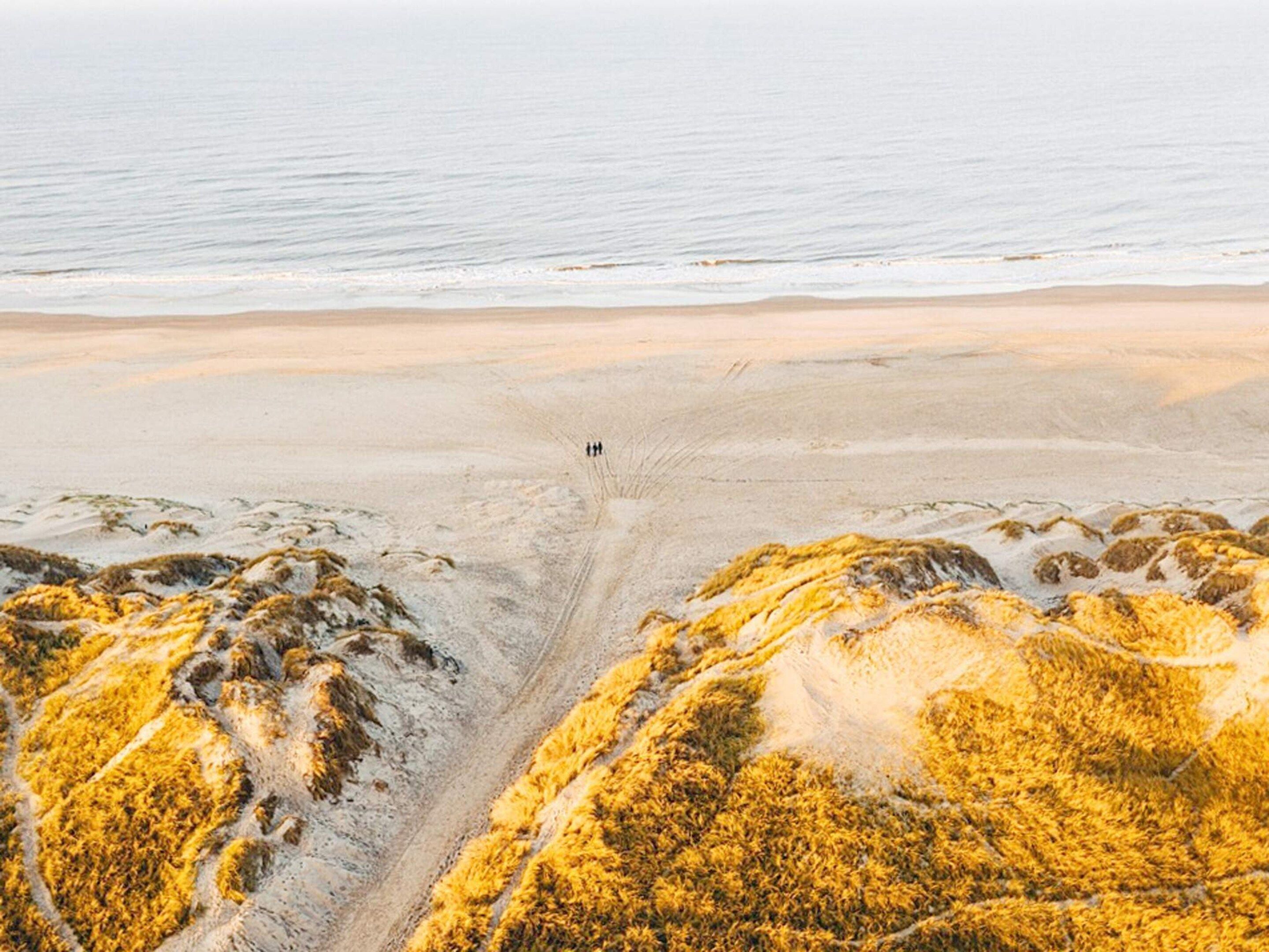 Vista aérea de uma praia com um caminho claro que leva à água, cercada por dunas de areia.