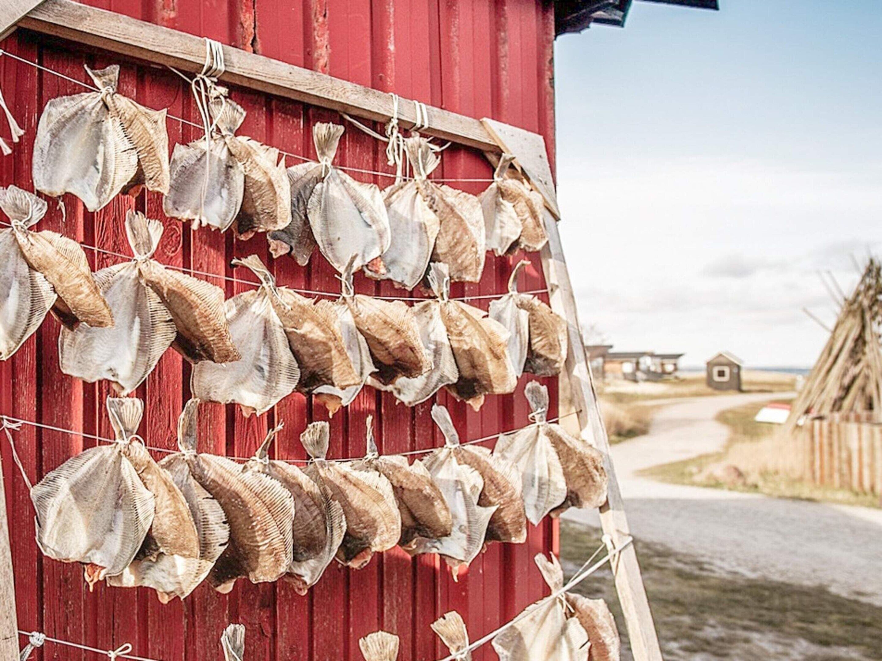 Nhà | Khuôn viên nơi lưu trú