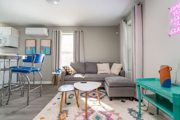 TV - Cozy 1 bed APT near Five Points! Bring your pets! (Columbia)