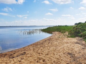 A sandy beach with calm water, a grassy area with pink flowers, and a clear sky. - 6 Person Holiday Home in Ulfborg (Ulfborg)