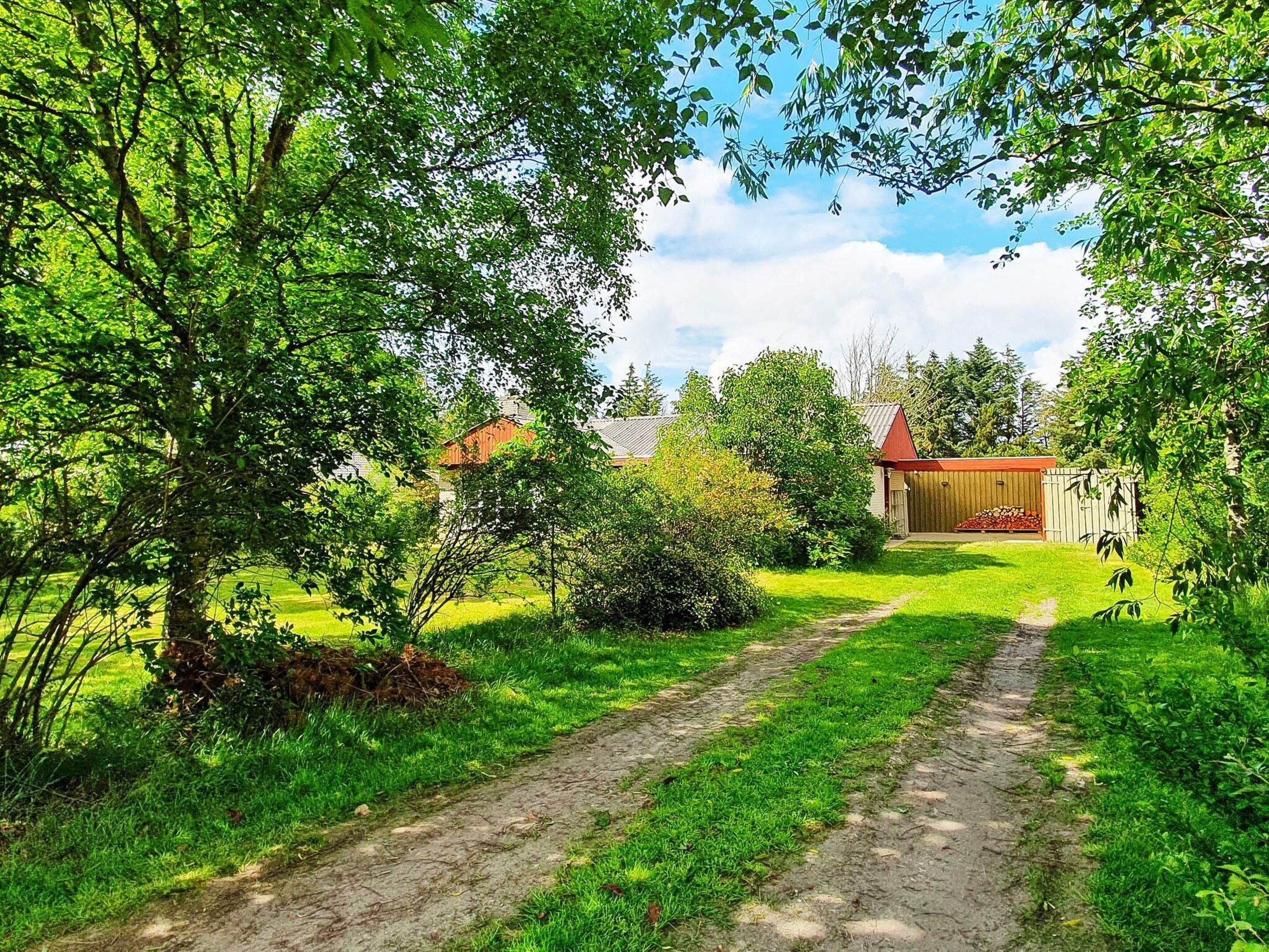 A rural landscape with a dirt path leading to a wooden structure.