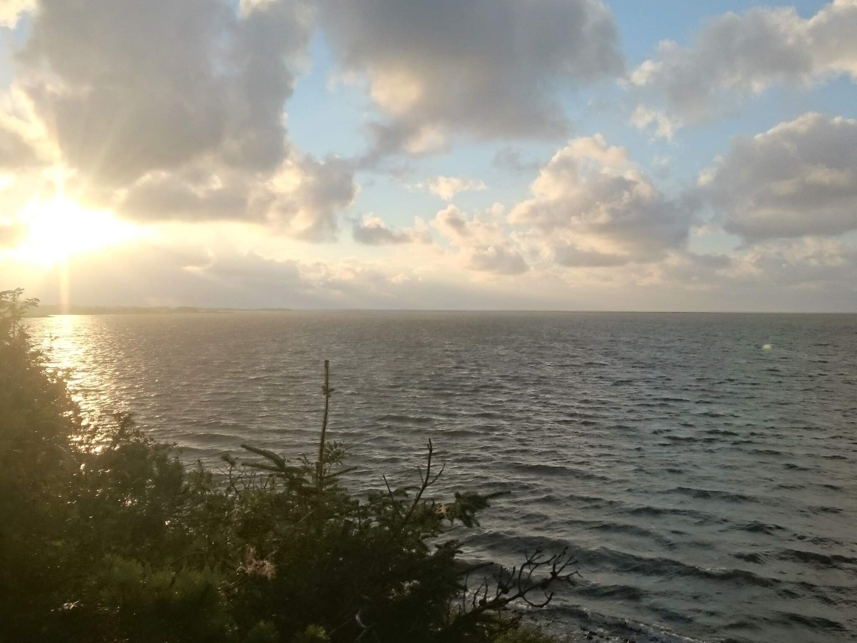 A coastal view with the sun setting over the water, a clear sky, and vegetation in the foreground.