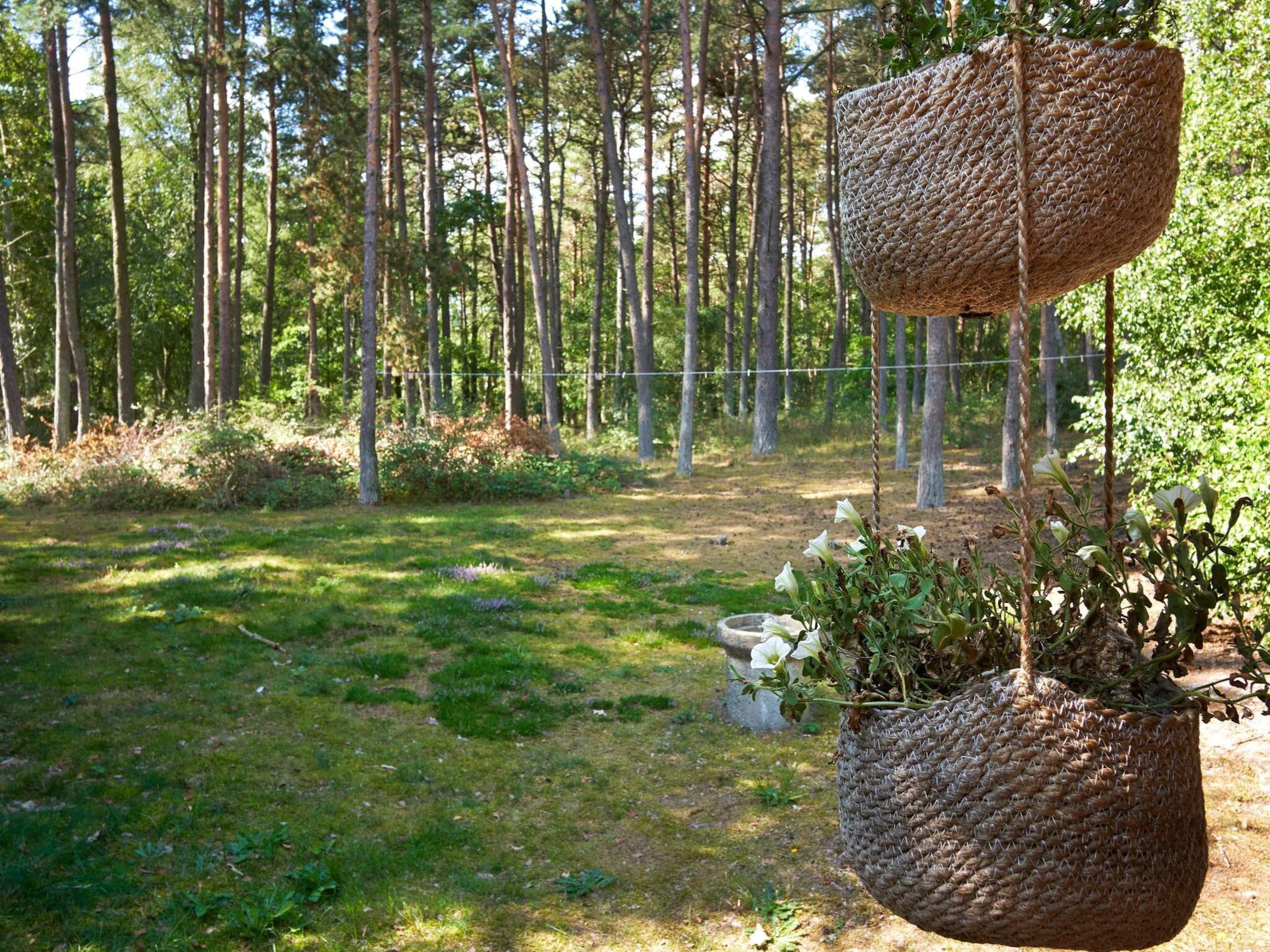 A hanging basket with plants in a forested area.