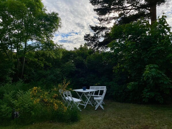 A garden with a table and chairs, surrounded by dense foliage and trees.