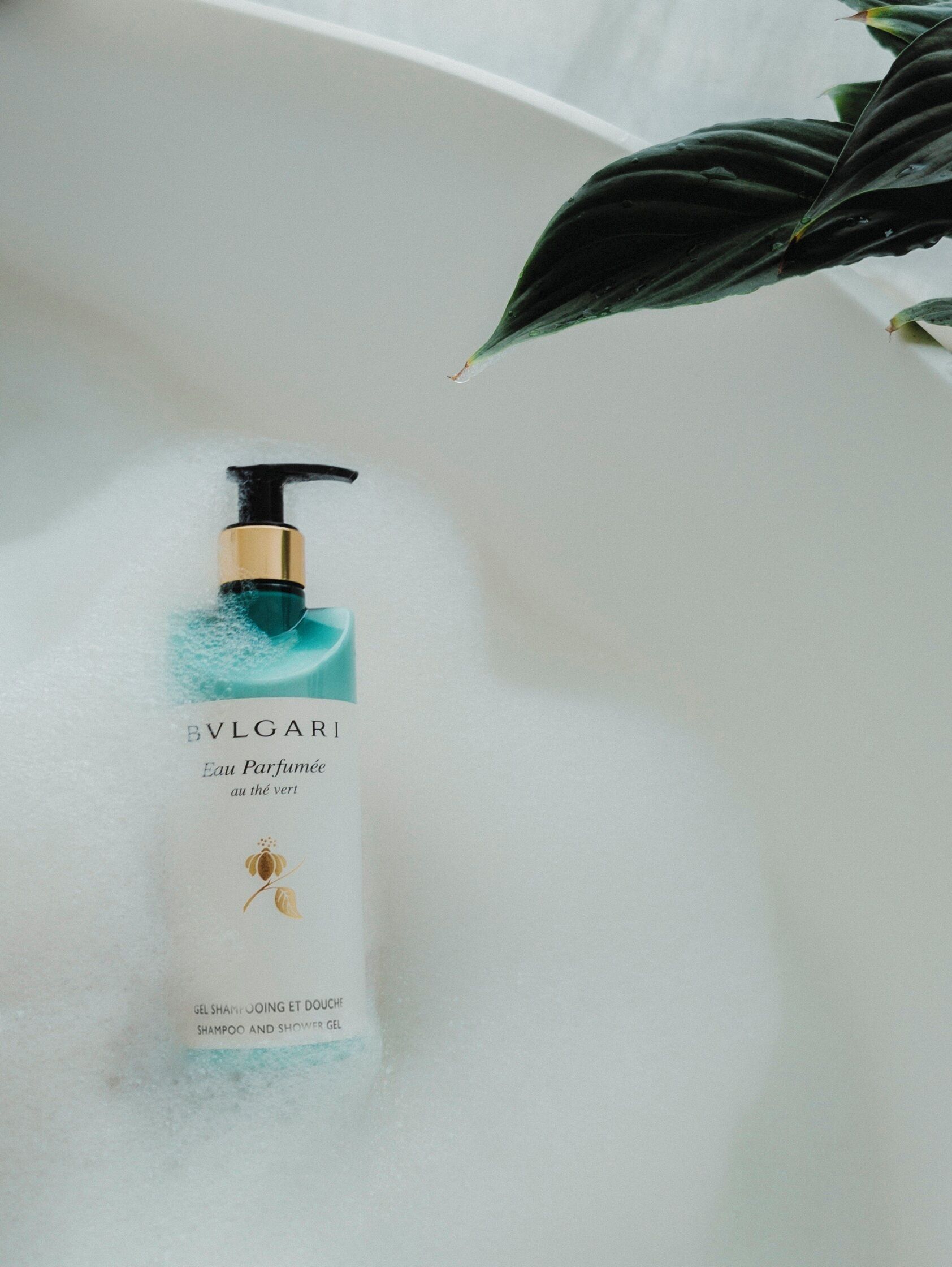 Photo - Juno Hotel Sofia, a Member of Design Hotels