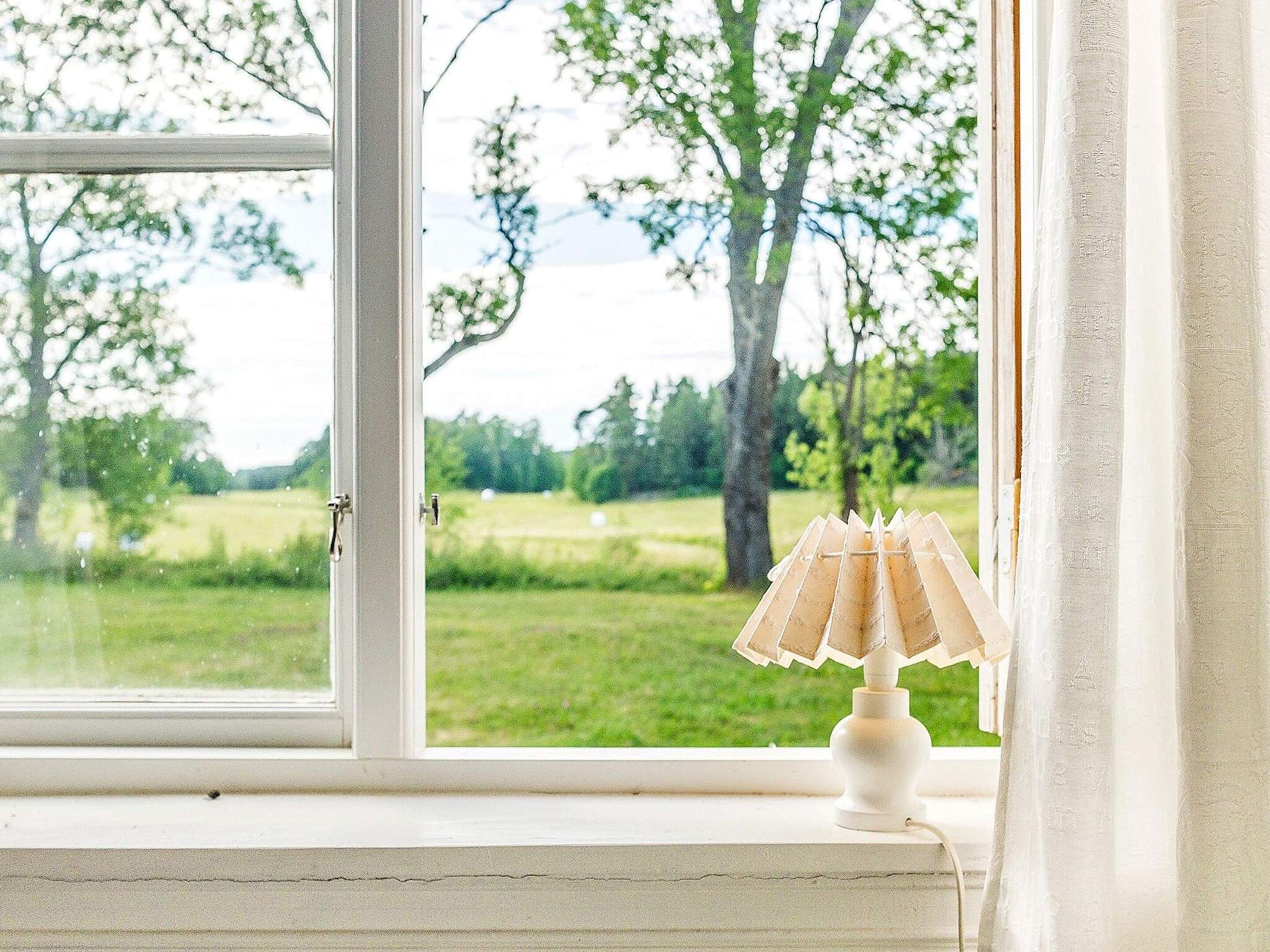 A window with a view of a green landscape and trees.