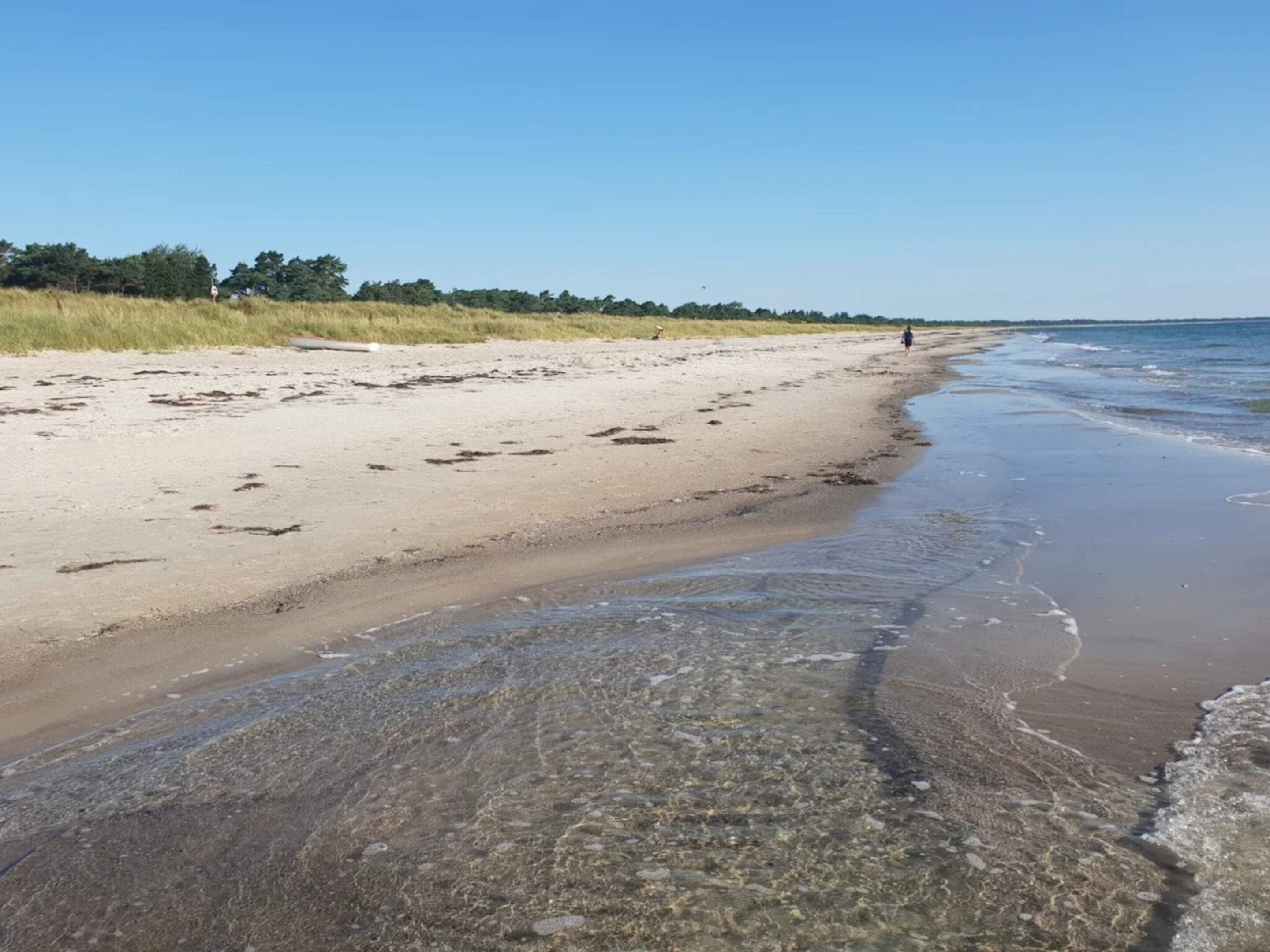 A beach with clear shallow waters, a sandy shore, and a distant tree line.