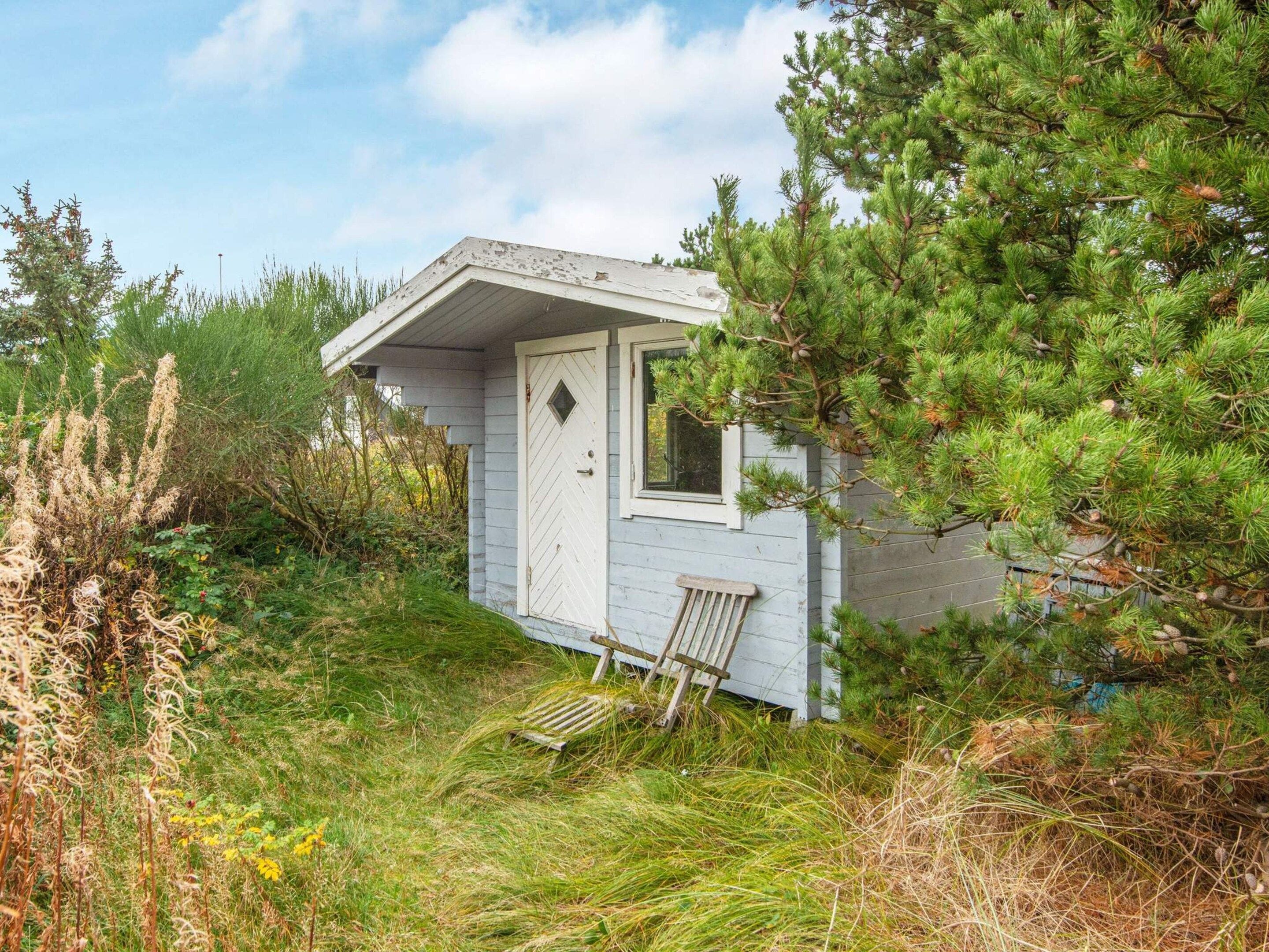 A small cabin with a white door and window, surrounded by dense greenery and a wooden bench.