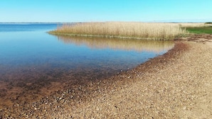A calm lake with a pebbly shore and tall grasses in the background. - 3 Person Holiday Home in Ringkobing (Ringkobing)