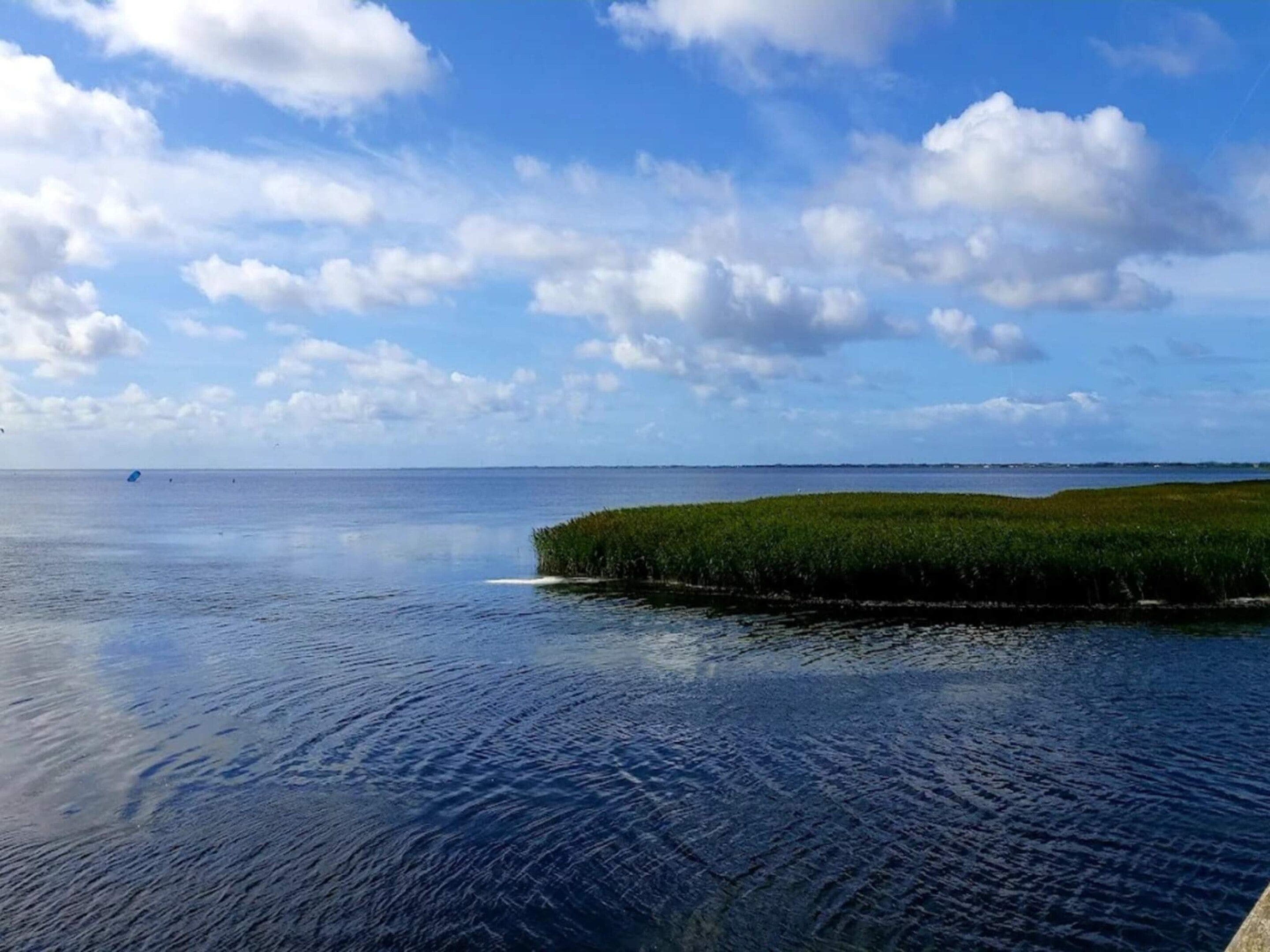 Ruhiges Gewässer mit einer kleinen Insel, die mit Gras bewachsen ist.