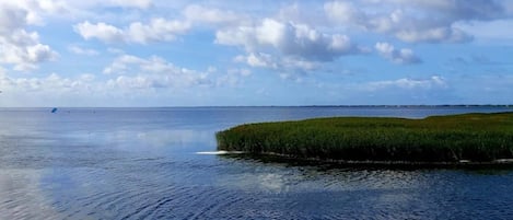 A calm body of water with a grassy island in the middle.