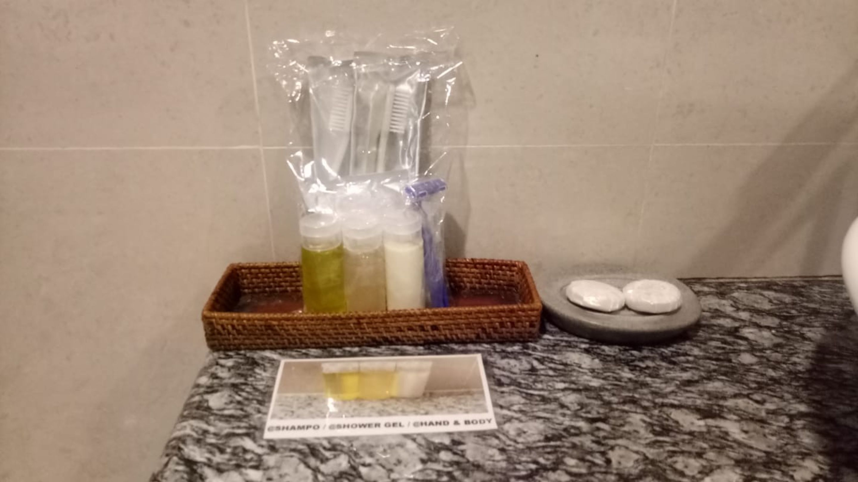 Una encimera de baño con una botella de gel de ducha, un cepillo de dientes y un jabonera.