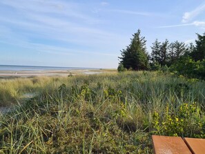 A beach with tall grass and trees in the background. - 6 Person Holiday Home in Hals (Hals)