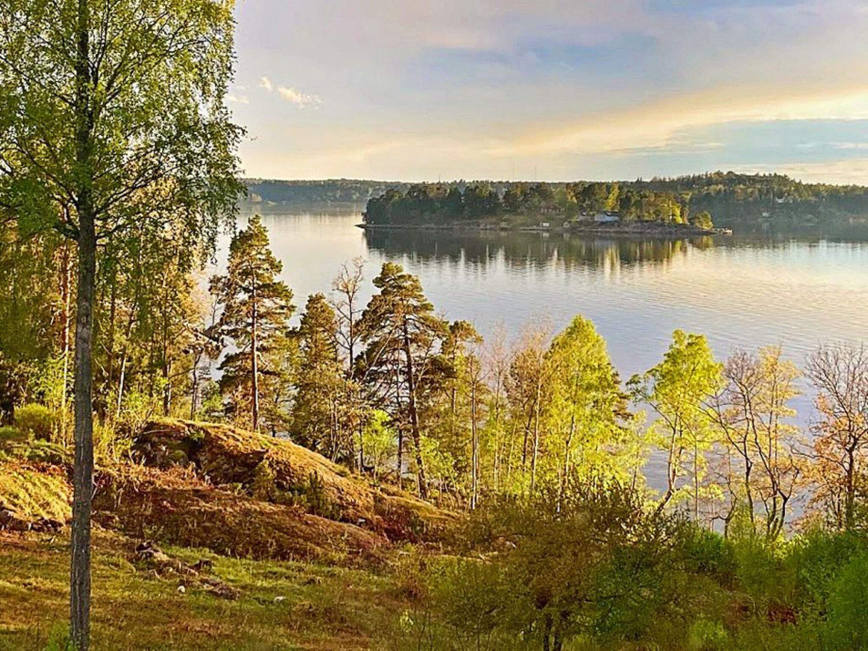 Un lago circondato da alberi e un'isola in lontananza.