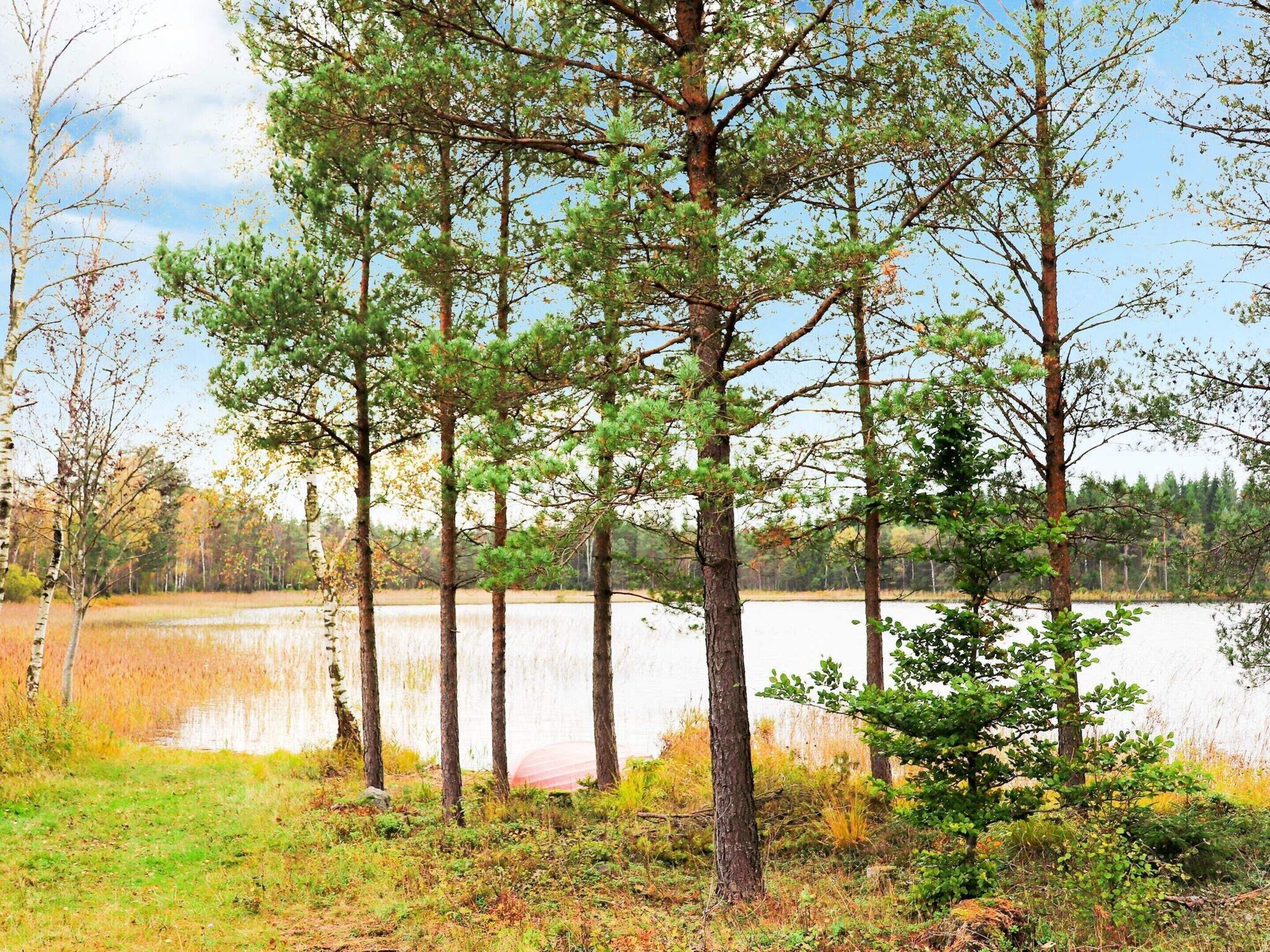 A natural landscape with a lake and trees.
