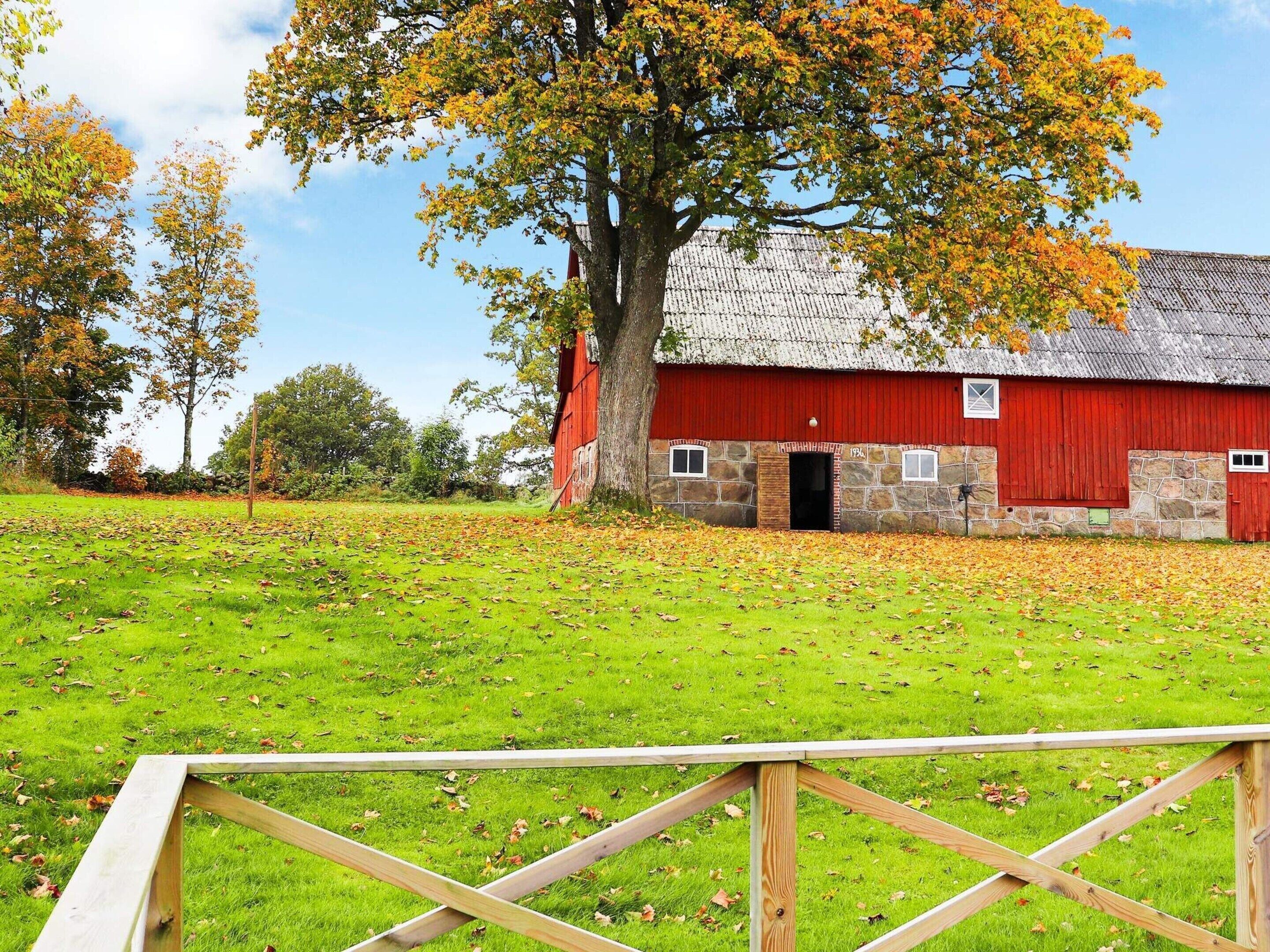 Nhà | Ngoại thất