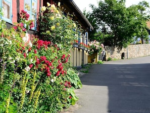 House | Exterior