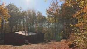 A cabin surrounded by trees with autumn leaves, a clear sky, and sunlight. - 4 Person Holiday Home in Skanes-fagerhult (Skånes Fagerhult)