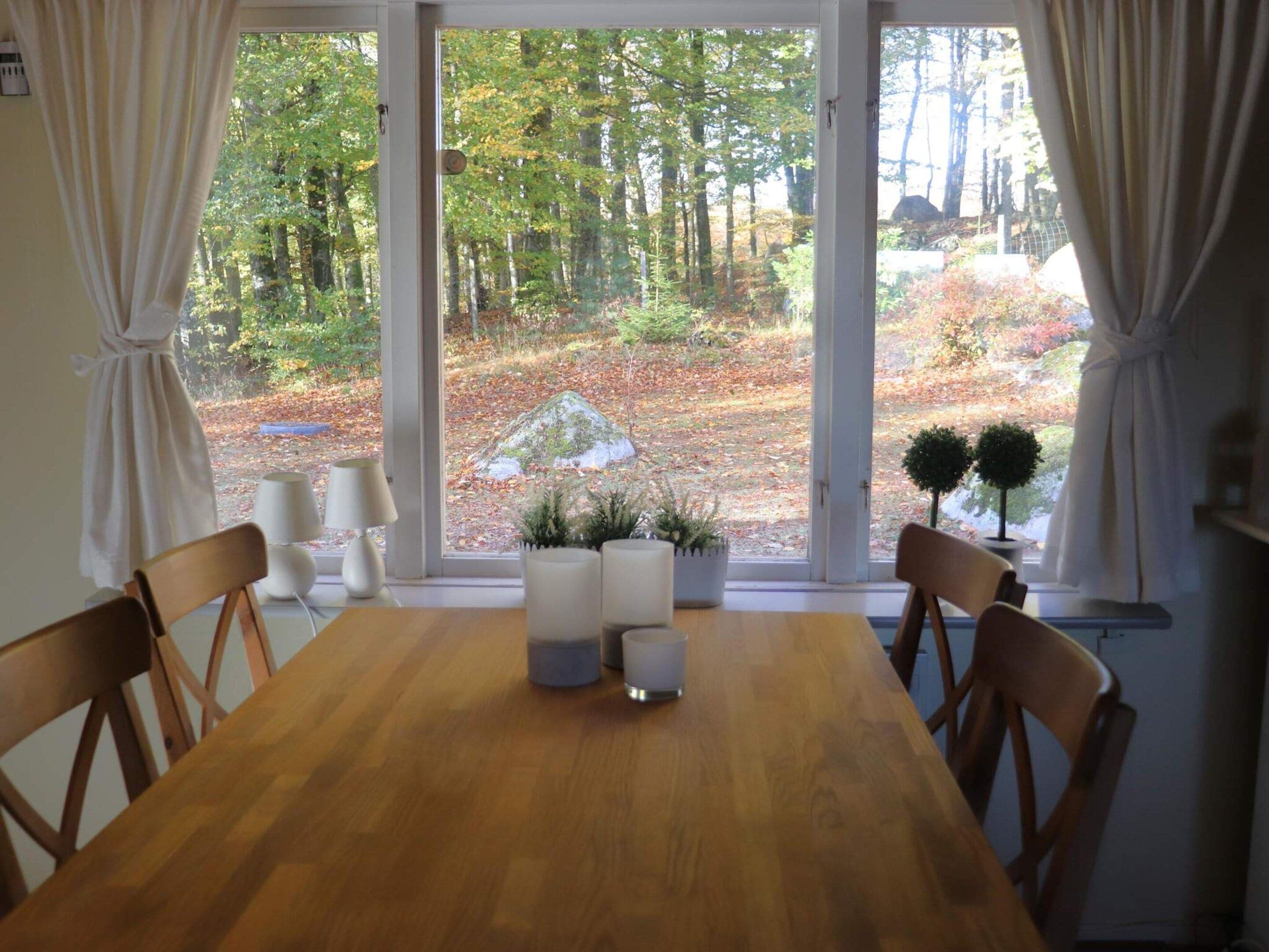 A dining area with a wooden table and chairs, a window with curtains, and a view of a forested area.