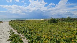 A beach path leading to the ocean with sparse vegetation and a clear sky. - 6 Person Holiday Home in Knebel (Knebel)