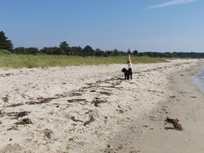 A sandy beach with seaweed, a person walking, and a dog. - 6 Person Holiday Home in Knebel (Knebel)