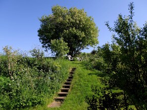 A stone staircase leading up to a large tree, surrounded by lush greenery and a clear blue sky. - 6 Person Holiday Home in Knebel (Knebel)
