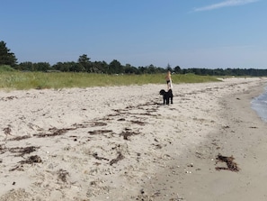 A sandy beach with seaweed, a person walking, and a dog. - 6 Person Holiday Home in Knebel (Knebel)