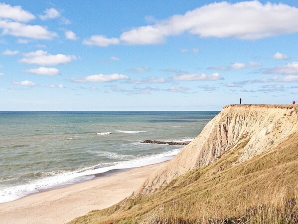 Casa | Vista desde la propiedad