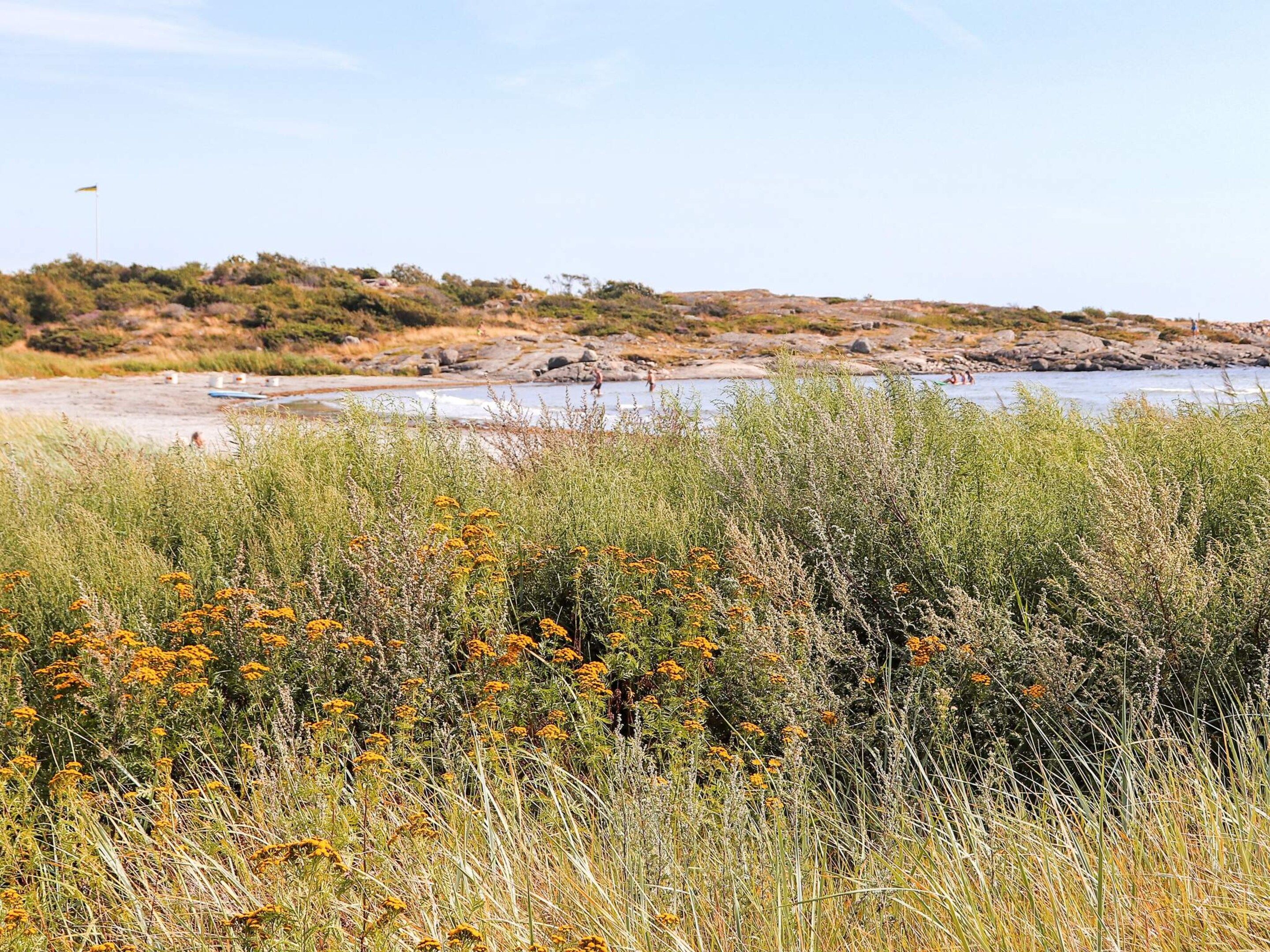 A natural landscape with a body of water, rocky terrain, and dense vegetation in the foreground.