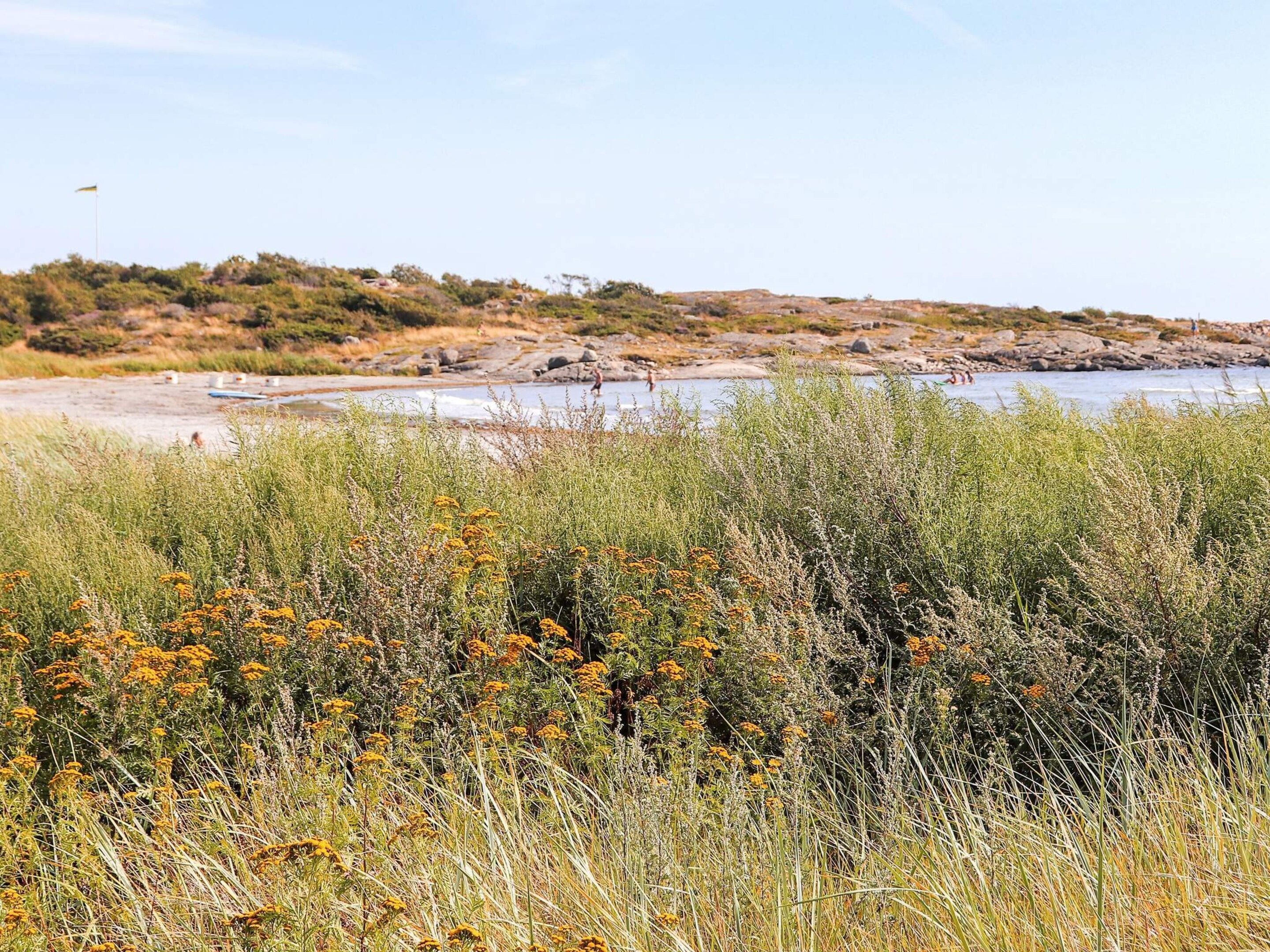 Un paisaje natural con una masa de agua, terreno rocoso y vegetación.