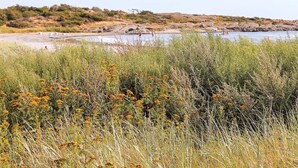 A natural landscape with a body of water, rocky terrain, and vegetation. - 4 Person Holiday Home in Askloster (Åskloster)